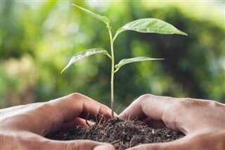 Unternehmensnetzwerk Klimaschutz - nature