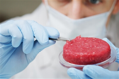 Food service industry trends - cultivated meat - laboratory