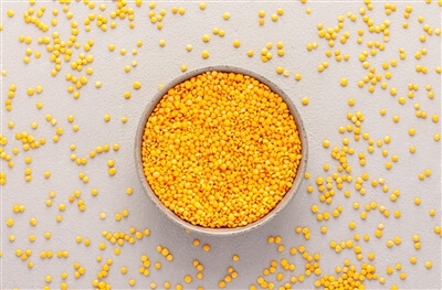 Legume facts - lentils