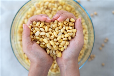 Legumes and pulses: fun facts - beans in water