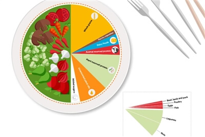 Planetary Health Diet - dish