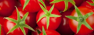 Etichette della passata di pomodoro - pomodori