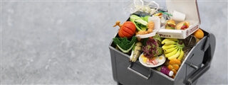 food waste - trash can